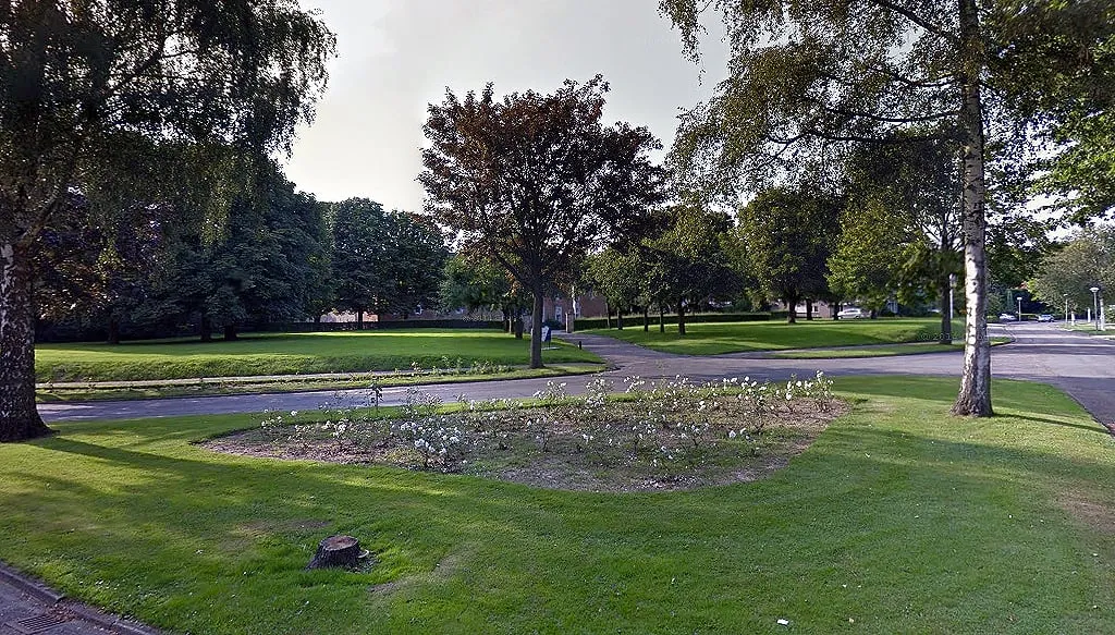 bsg 2020 rozenperken soestdijk