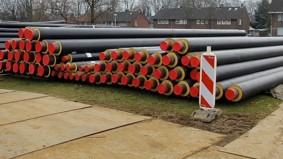 buizen het groene net limbrichterveld