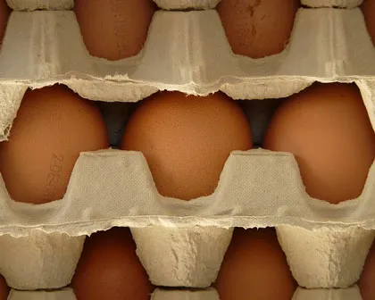 bzkryvldukkc4m9gnefm5a7ne 214486