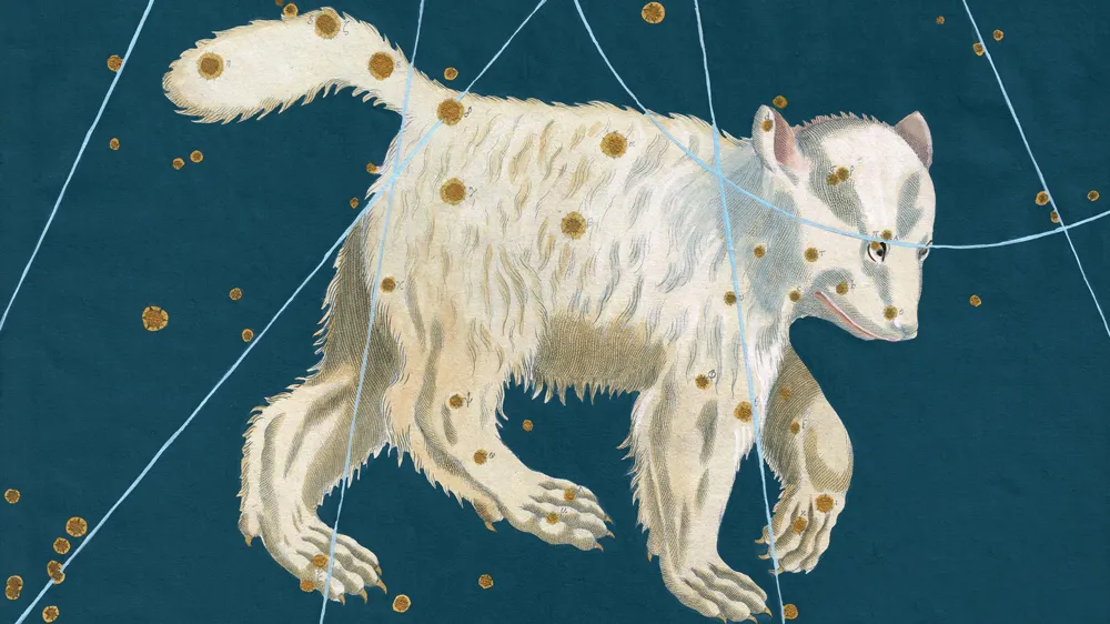 c197284wck36sq4fjpehnwo53 ursa major j 300 dpi nvdn 2014 16 9