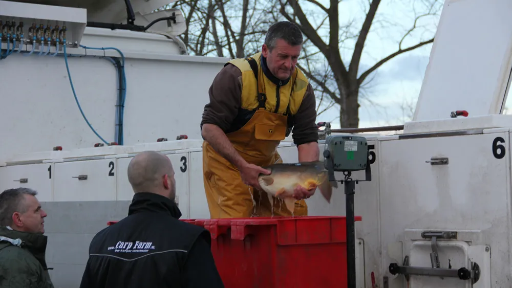 c9pf4eus99tshu2041kpnt7hh karpers 0