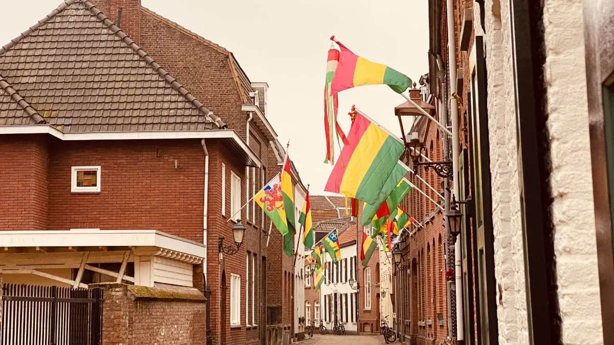 carnavalsvlaggen in begijnenhofstrt sittard