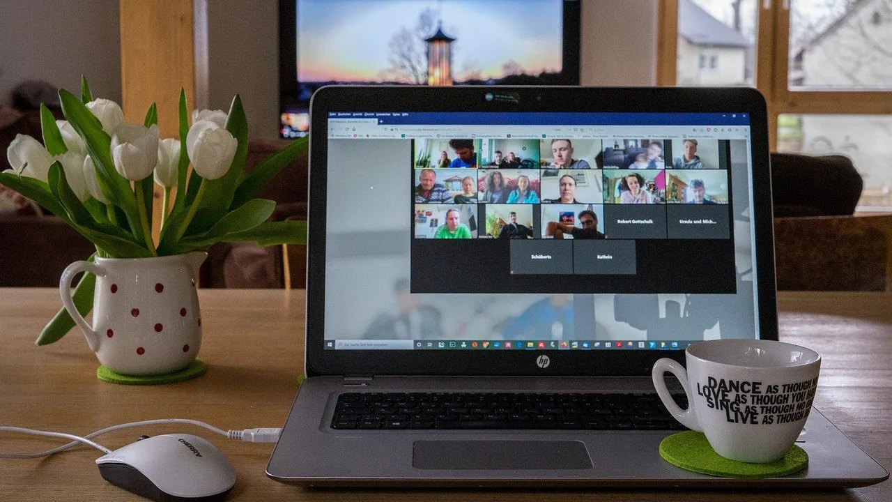 cc0 armin schreijag via pixabay videoconference