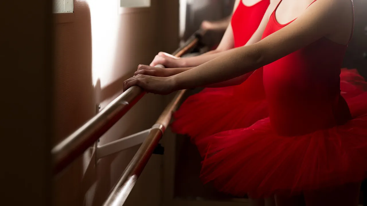 cc0 bernard verrougstaete via pixabay balletles