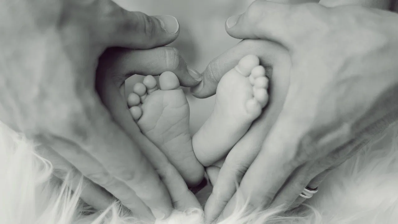 cc0 pixabay baby 2717347 12801