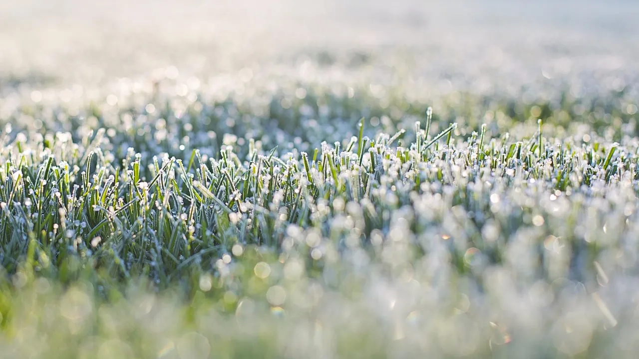 cc0 via pixabay vorst vrieskou nachtvorst koud