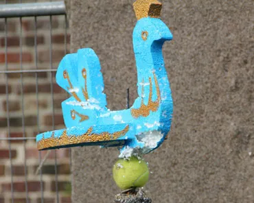 cf12vvcak00isvfin7o54zz5b 168801