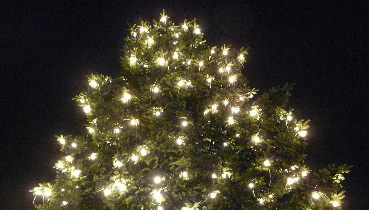 christmas 11511 1920 kerstboom verlichting lampjes