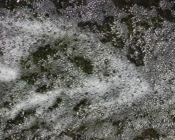 cmw27ng48yh1geyr0hmsk66hn 101118