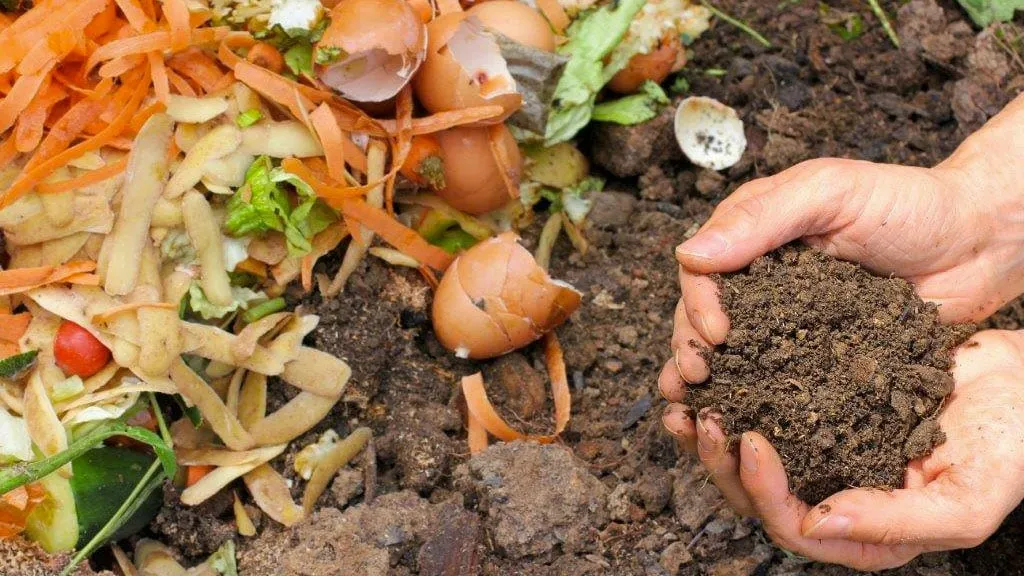 compost gratis afhalen
