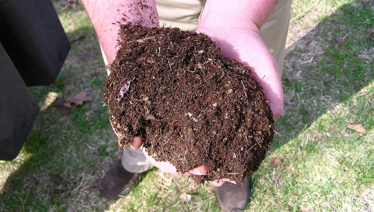 compost normanack cc by 20