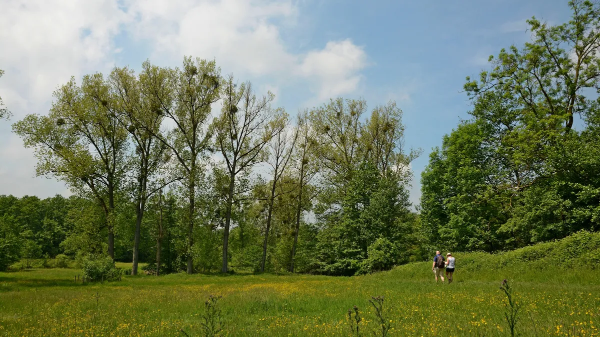 cottessenl henk heijligers hli 4480