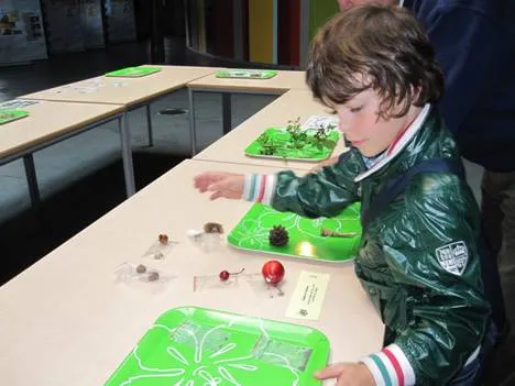 cpd40zlbidg5zcbyo3xaj9xkt 175800