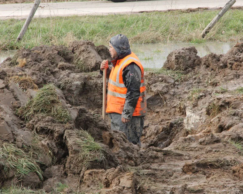 cpiw3z056kdeqa3i174v6yzd1 220248