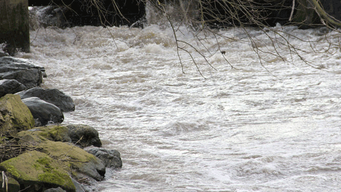 cs084dgth2n0g1x0ogg10lkt3 wild water molenstuw waterkracht 16 9