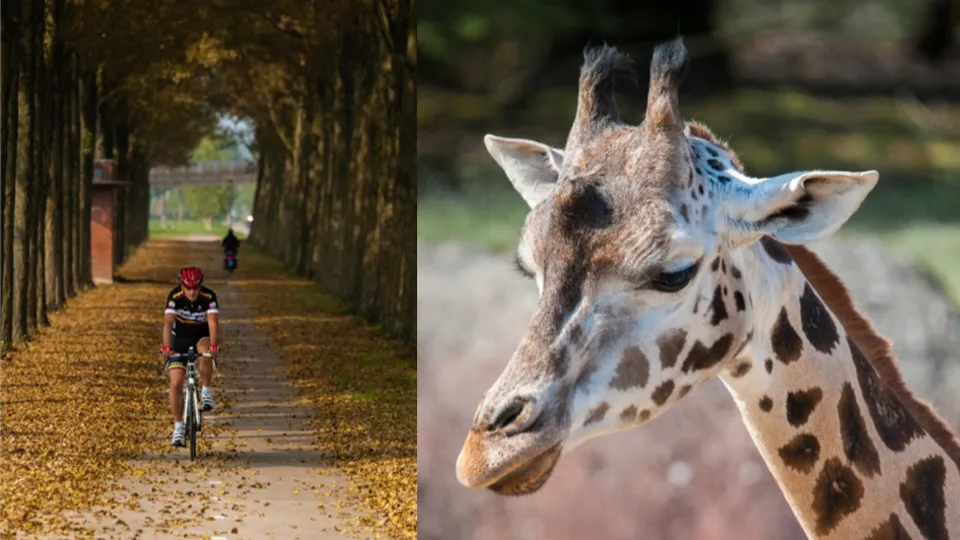 cursus fotografie gilde de graven