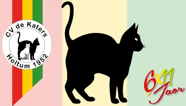 cv de katers holtum 6x11 jaar