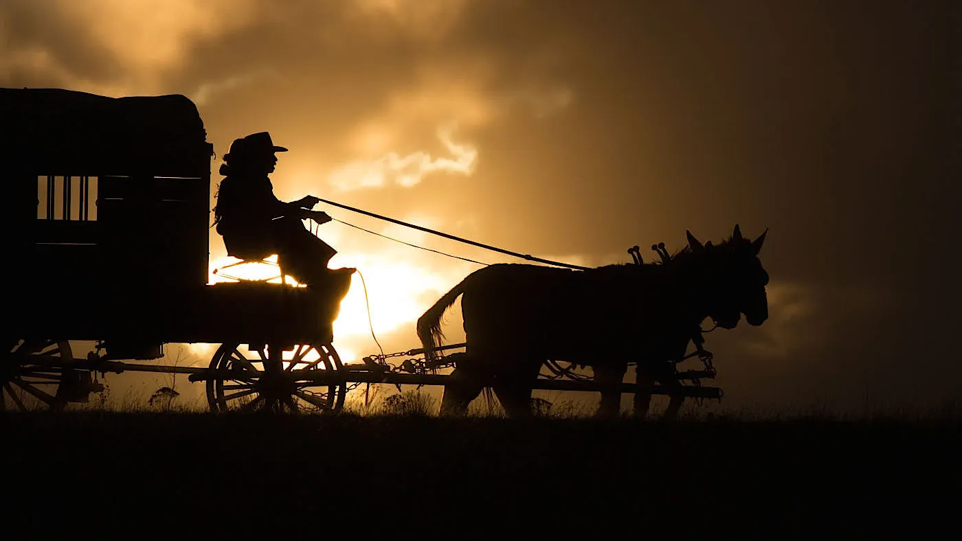 cw65h86djom15ac23gnrmlas0 1017 homesman 2