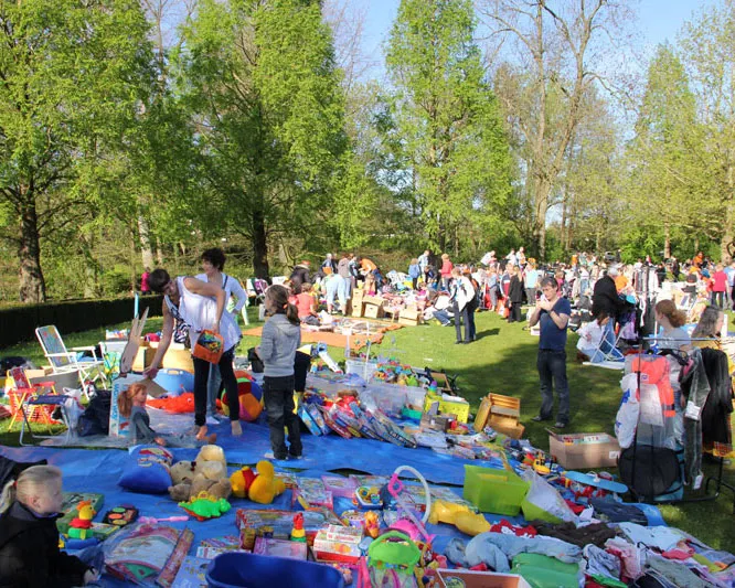 d97y9zju1snvp20b91bhgtslt 213038