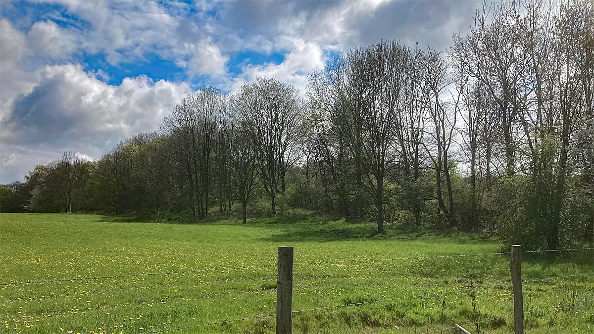 danikerberg bij geleen