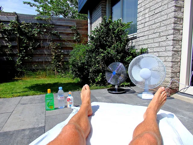 david van der mark cc by sa 20 flickr photosd vdm27269385940