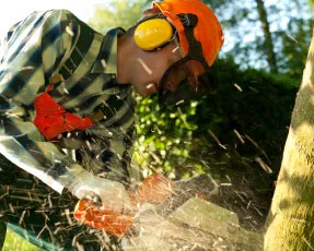 daxp5lhdatnu9498gmzmv6qqw 74627