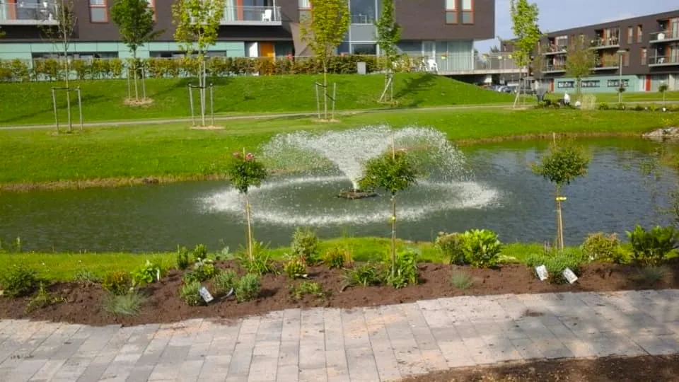 de drie musketiers vijver geleen barbarastraat