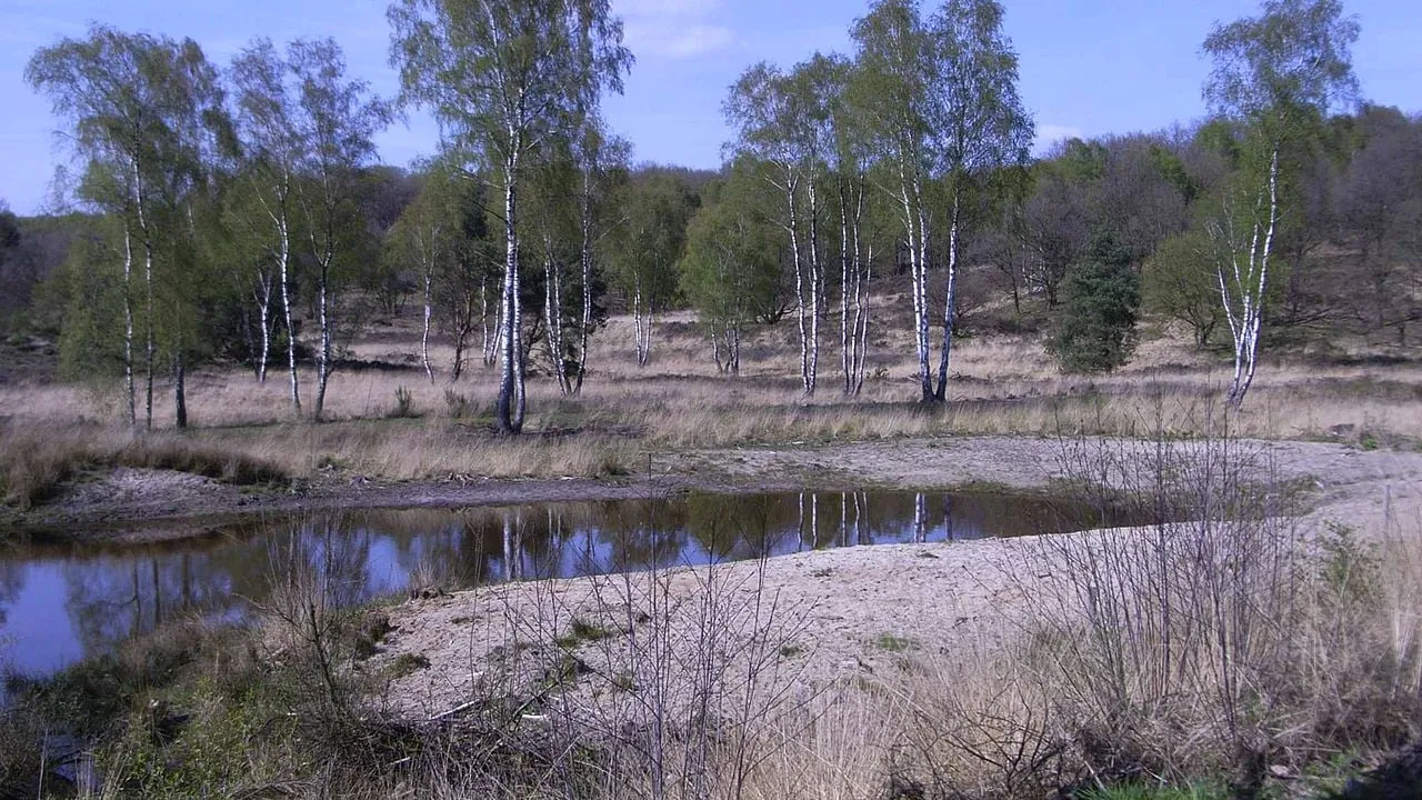 de meinweg foto uit 2008 bodoklecksel cc by sa http creativecommonsorglicensesby sa30
