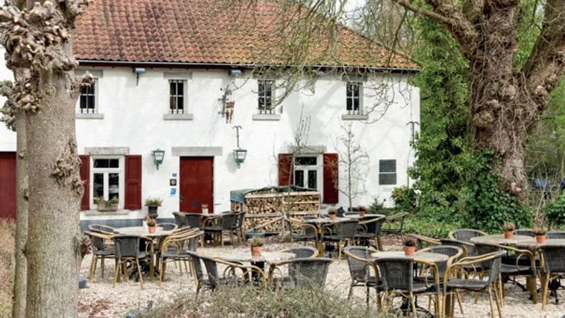 de vief heringe voorterras voorjaarsfeest 2019