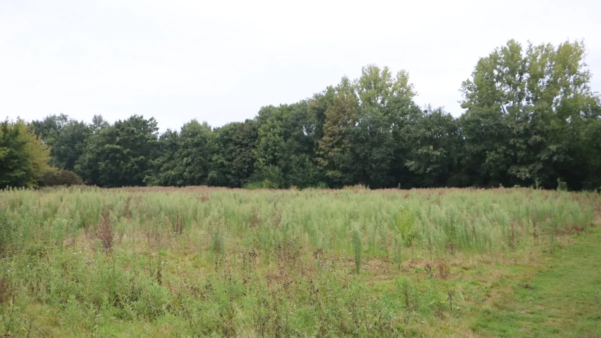 deel voormalig escs terrein