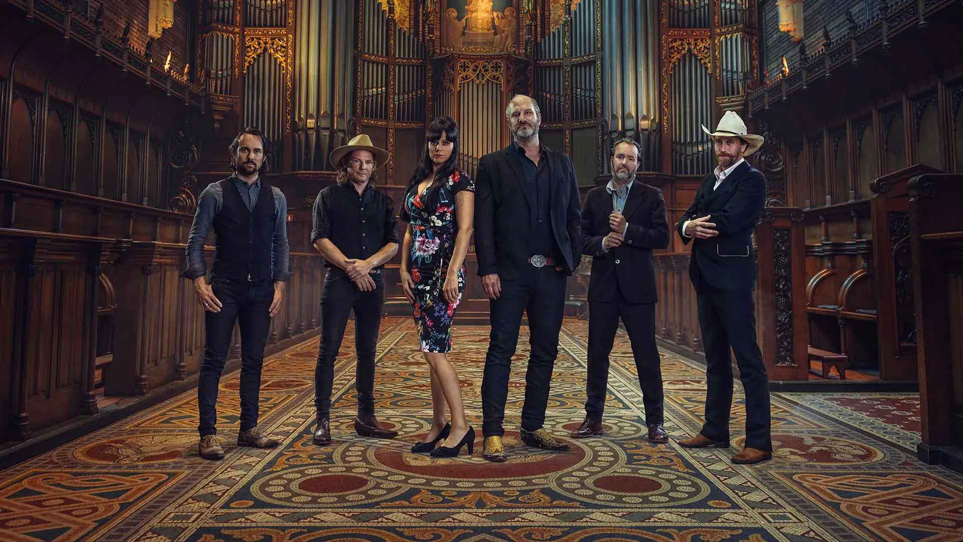 def americans poppodium volt