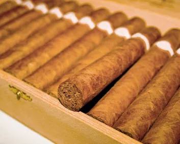 dg48kdjgz7sx3zc4aso8kfr1e 179937