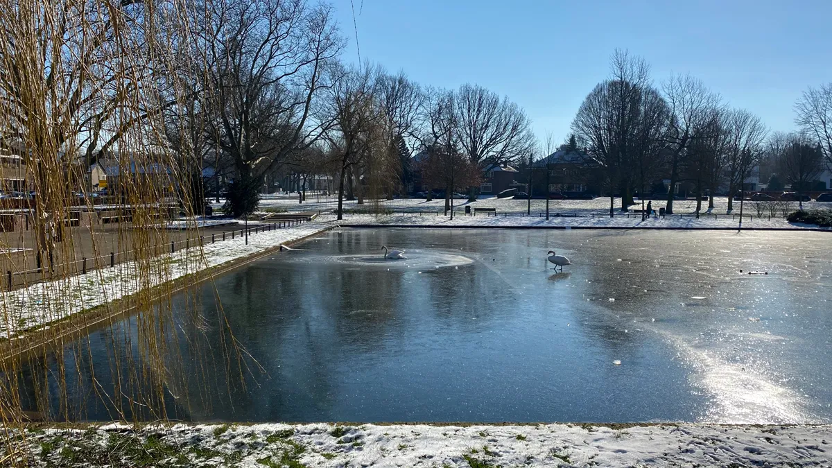 dichtgevroeren vijver stadspark sittard