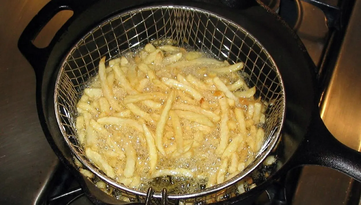 diepvriesfriet hayford peirce cc by sa 30 via wikimedia commons