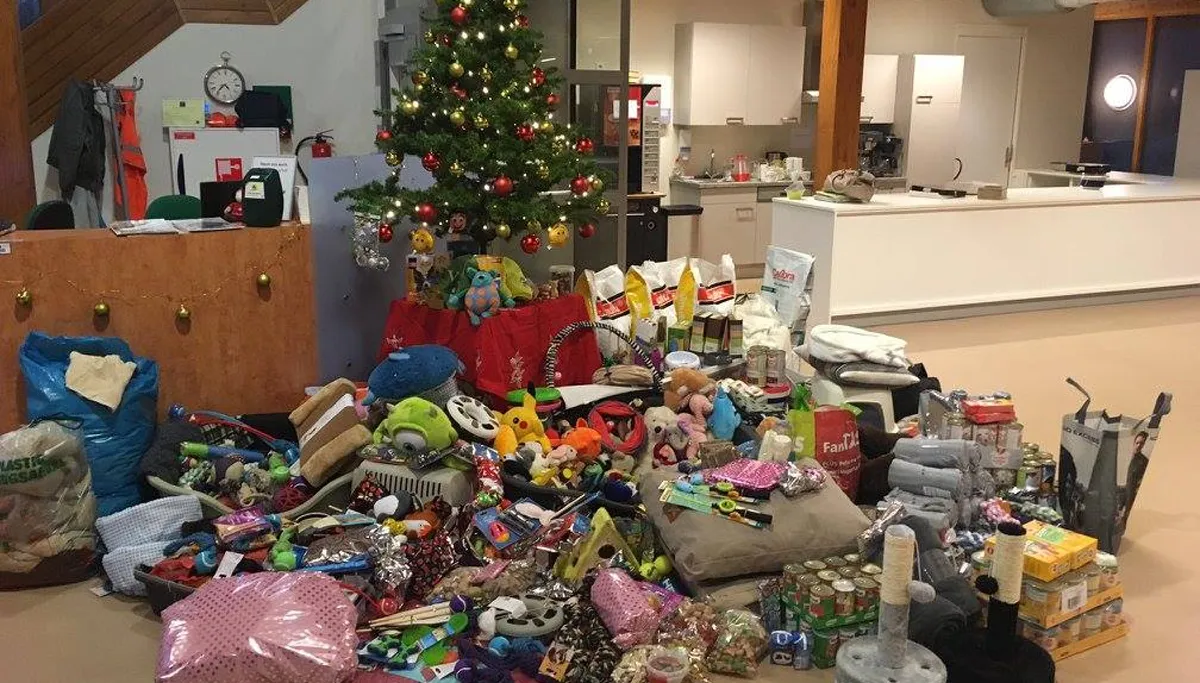 dierenspeeltjes dierenbeschermingscentrum limburg