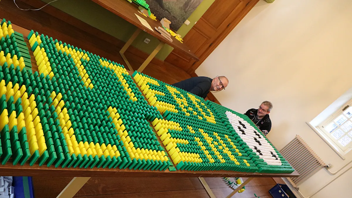 dominostenen kasteel limbricht zitterd allein