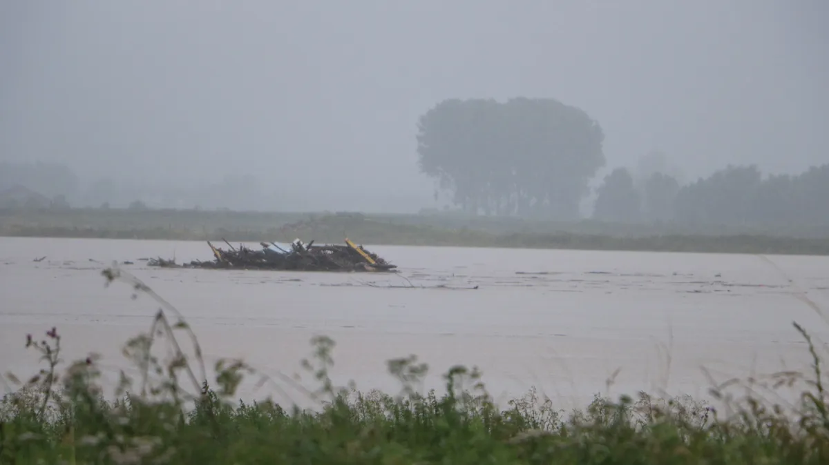 drijfhoutverzameling op de maas bij grevenbicht 15 juli 2021