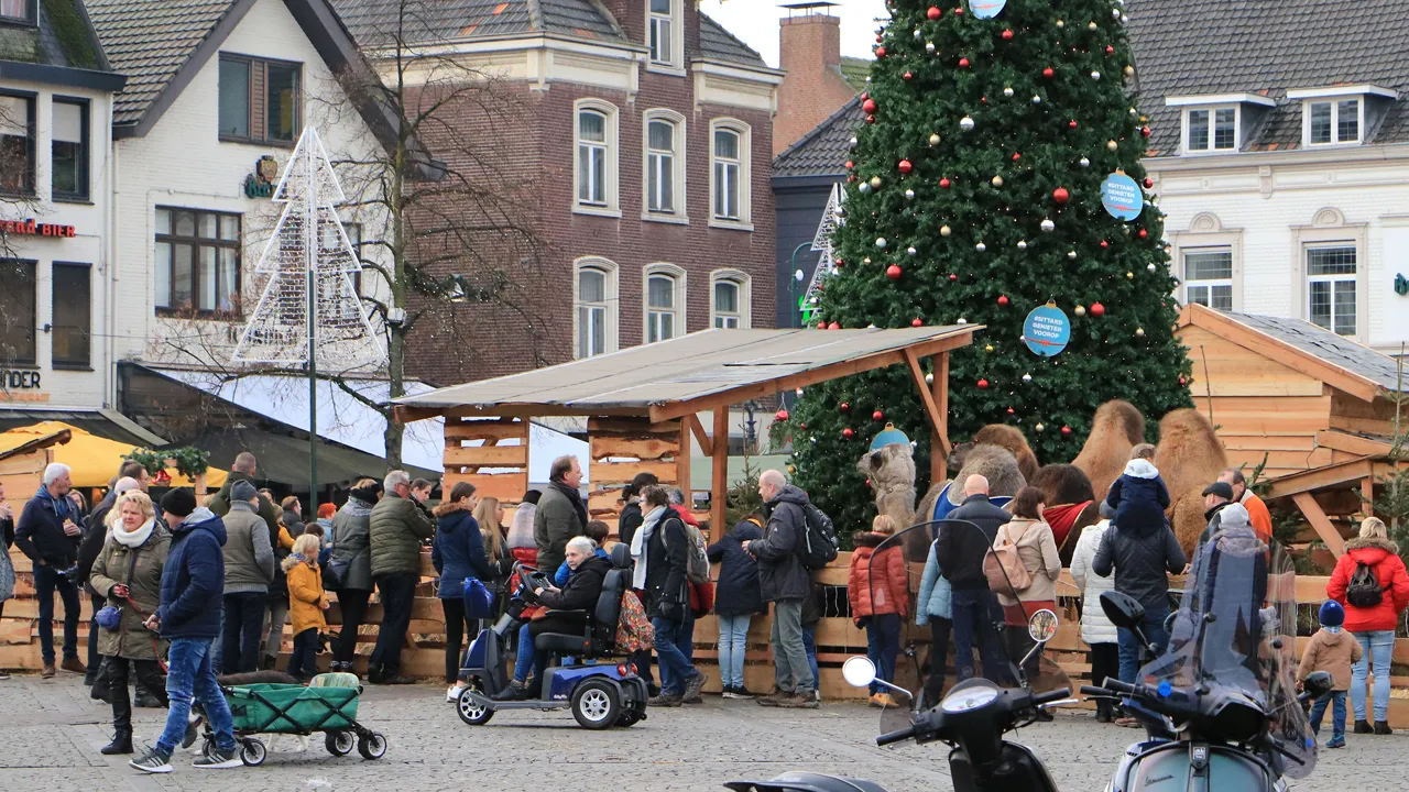 drukte aan de achterzijde van de levende kerststal in sittard