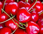 dua2giojgr834b8aow0ngudef 159979