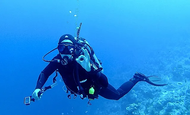 duiken diving 1798527 640