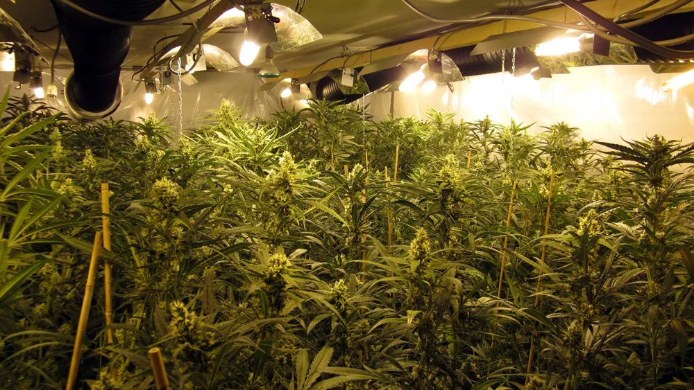 e50ghw8dc4pdscth759r9tixt hennep plantage kwekerij herkenbosch
