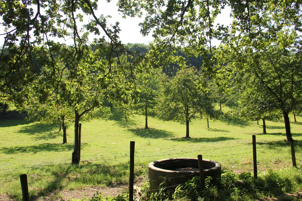 e9ni82aair0b39red7sj7mrak 190886