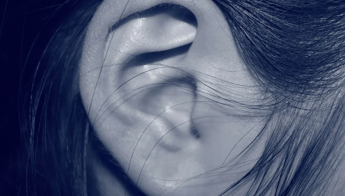 ear 207405 1920 oor tinnitus
