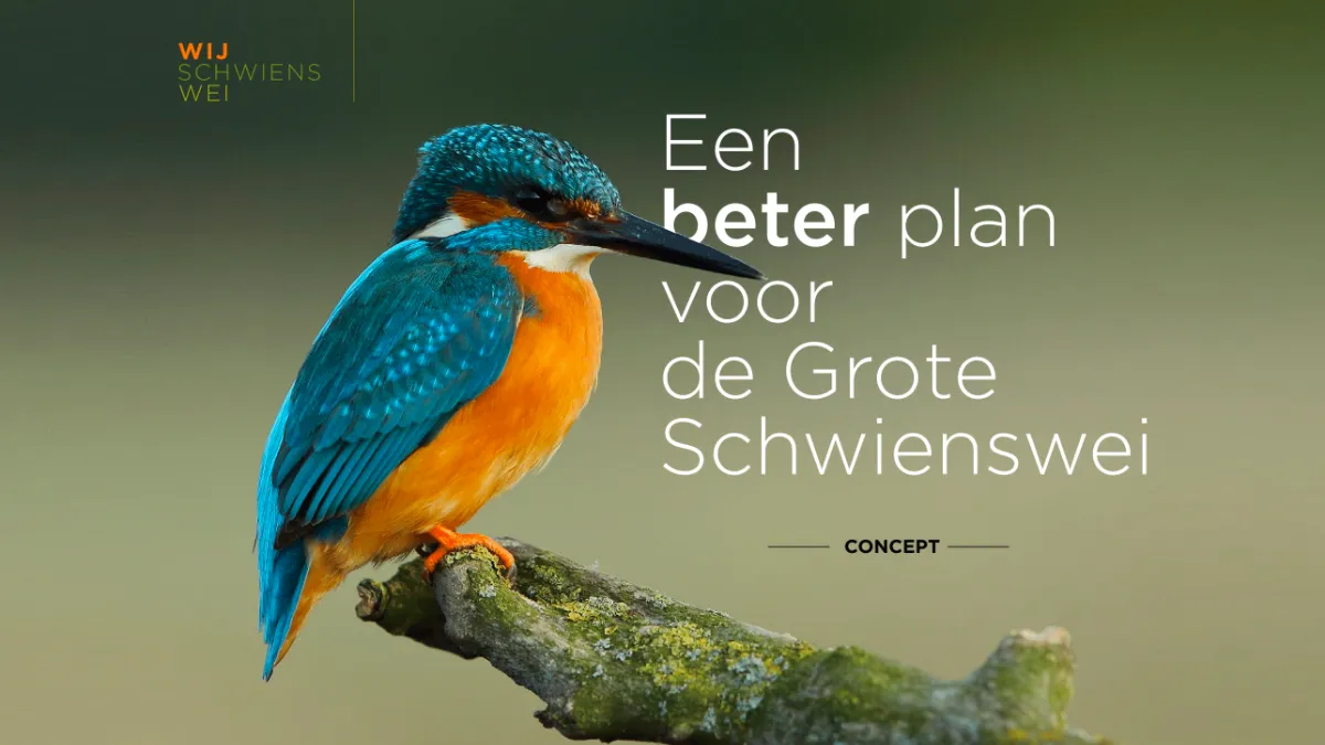 een beter plan voor de grote schwiensswei