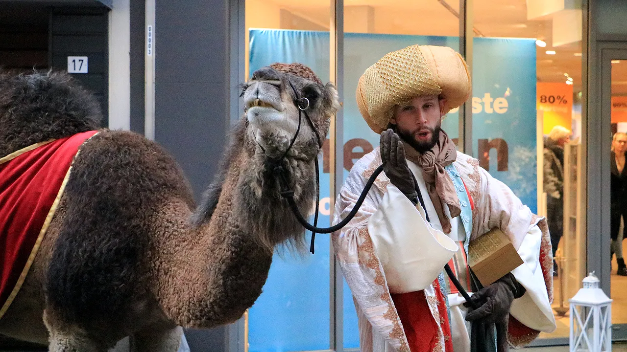 een van de drie koningen