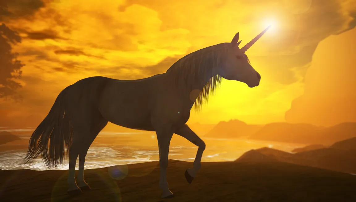 eenhoorn tomais ashdene cc by 20