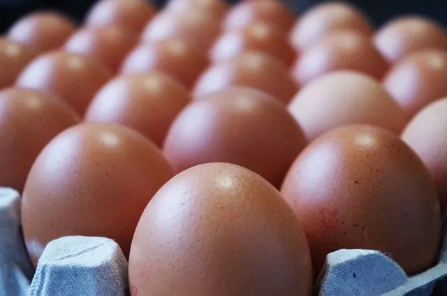 eggs 2010115 640 eieren cc0 via pixabay