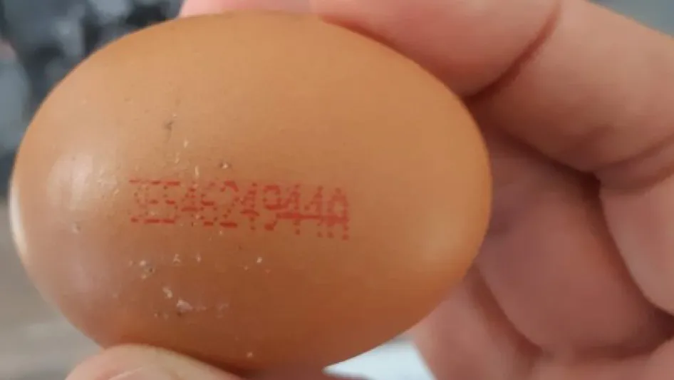 eiercode met salmonella besmette eieren