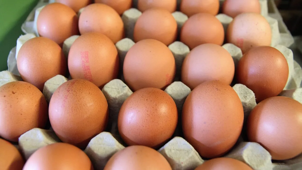 eieren cc0 pixabay eggs 2811871 1280