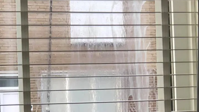 eieren tegen raam gegooid in guttecoven